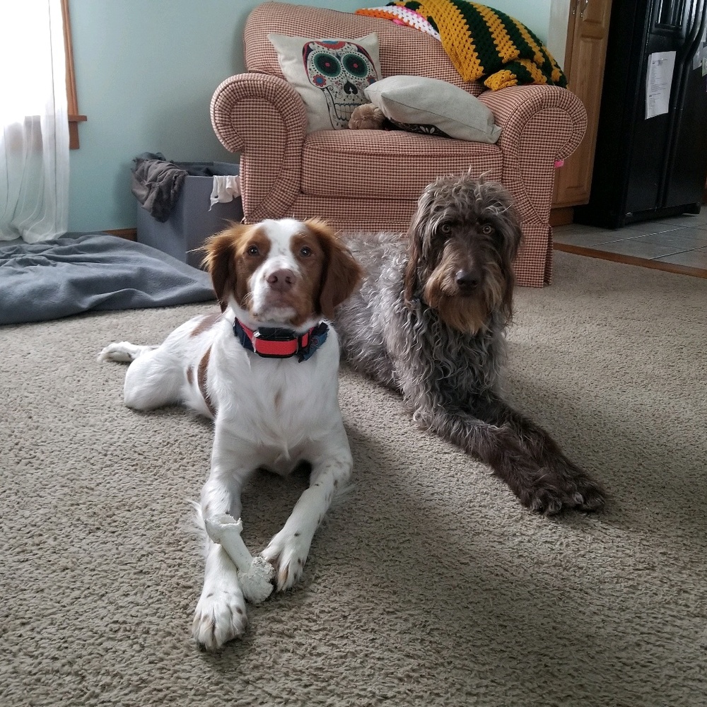 Meet your Posher, Vicky